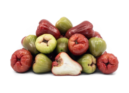 Tims LTD LLC Tims LTD LLC