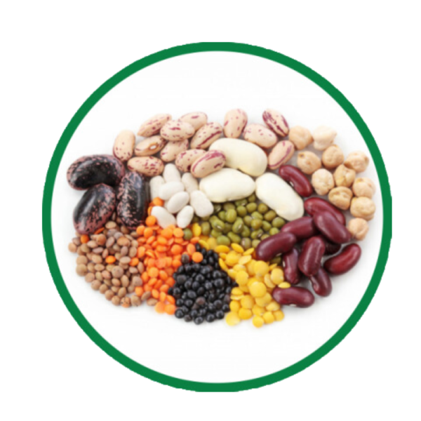 Dan Agro Products LLC